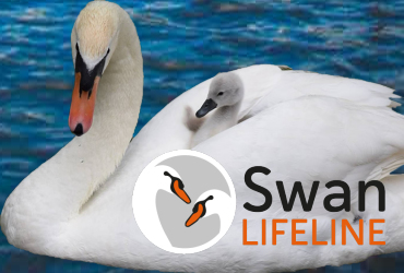 Swan Lifeline